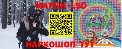 apvp Бийск