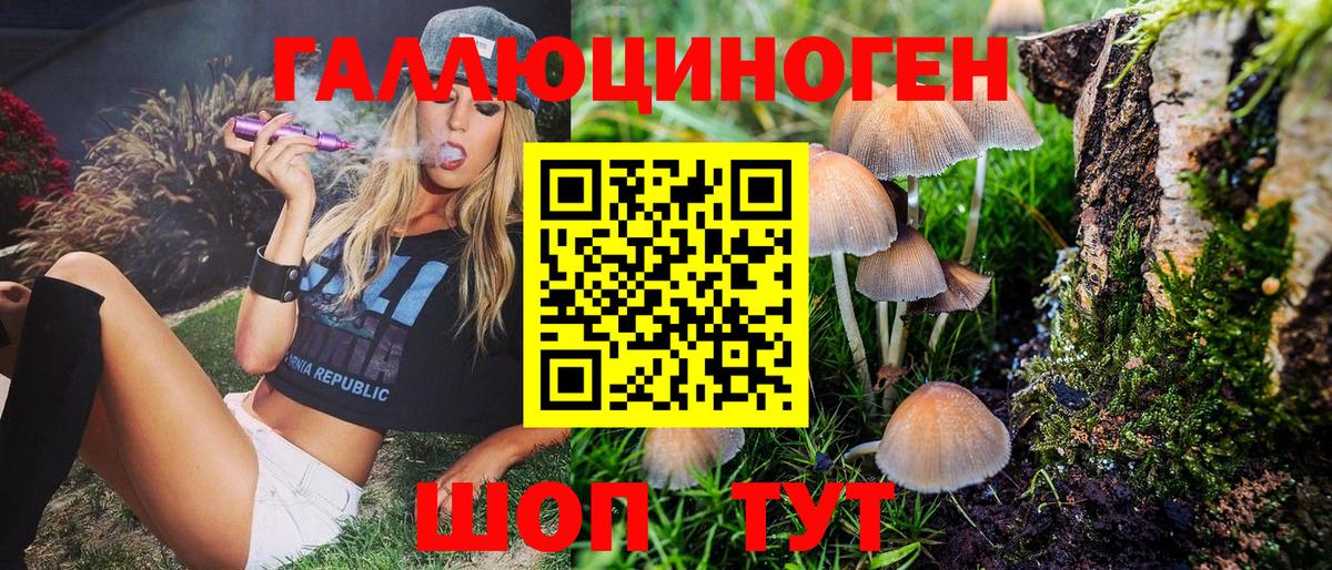 Галлюциногенные грибы GOLDEN TEACHER  магазин  наркотиков  Егорьевск 