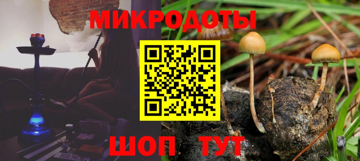 Псилоцибиновые грибы GOLDEN TEACHER  Псилоцибиновые грибы прущие грибы  Вход с VPN  Егорьевск 