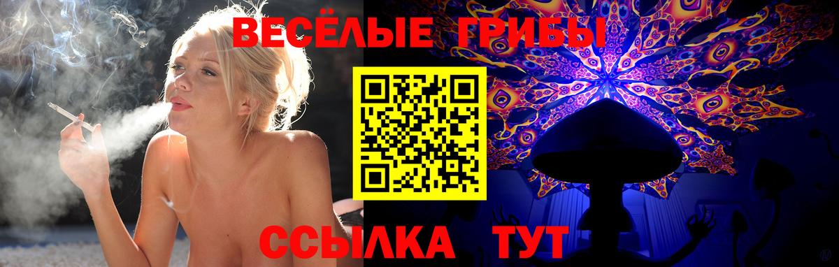 Псилоцибиновые грибы Psilocybe Егорьевск